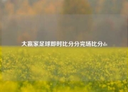 大赢家足球即时比分分完场比分ds