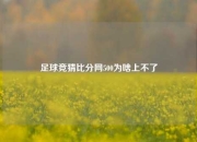 足球竞猜比分网500为啥上不了