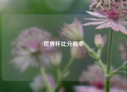 世界杯比分概率