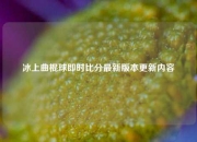 冰上曲棍球即时比分最新版本更新内容