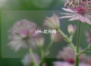 bf90vs比分网