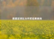 竟猜足球比分开奖结果查询
