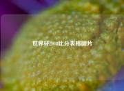 世界杯2018比分表格图片