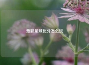 竞彩足球比分怎么玩