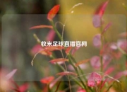 收米足球直播官网
