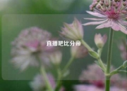 直播吧比分帝