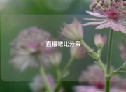 直播吧比分帝
