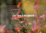 2020广州恒大淘宝赛程表