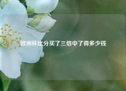 欧洲杯比分买了三倍中了得多少钱
