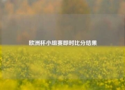 欧洲杯小组赛即时比分结果