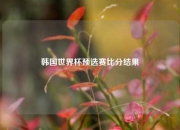 韩国世界杯预选赛比分结果