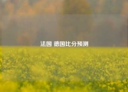 法国 德国比分预测
