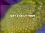 欧洲杯赛程表比分今天结果