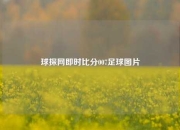 球探网即时比分007足球图片