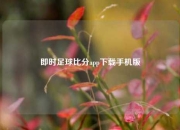即时足球比分app下载手机版