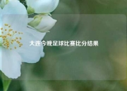 大连今晚足球比赛比分结果