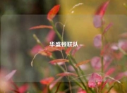 华盛顿联队