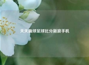 天天盈球足球比分新浪手机