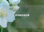 梦见踢足球比赛