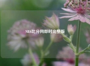 NBA比分网即时完整版
