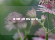 球探比分即时足球比分app1