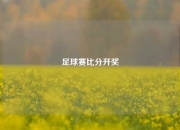 足球赛比分开奖