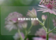 鲁能直播比赛直播