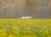wta最新赛况
