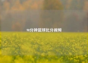 90分钟篮球比分视频
