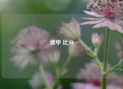 德甲 比分
