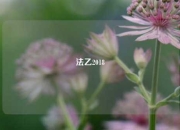 法乙2018