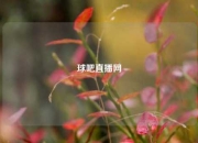 球吧直播网