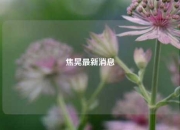 焦晃最新消息