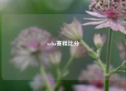 wcba赛程比分