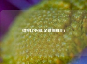 球探比分网-足球即时比1