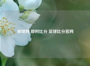体球网 即时比分 足球比分官网