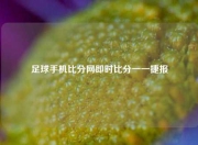 足球手机比分网即时比分一一捷报