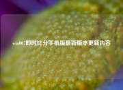 win007即时比分手机版最新版本更新内容