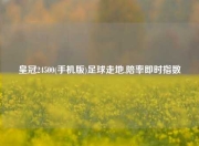 皇冠24500(手机版)足球走地,陪率即时指数