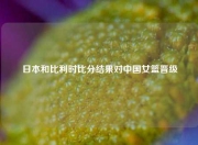 日本和比利时比分结果对中国女篮晋级