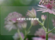 ds足球比分数据查询
