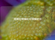 球探比球探比分球探比分