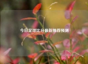 今日足球比分最新推荐预测
