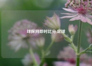 球探网即时比分,足球