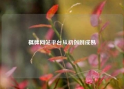 棋牌网站平台从初创到成熟