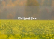 足球比分观看APP