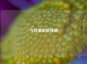 今日美职联预测