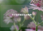 芬兰篮球最近比分预测