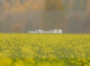 vivox21与vivox21i区别