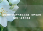 游戏加盟平台棋牌探索成功之路，如何在游戏加盟平台上脱颖而出